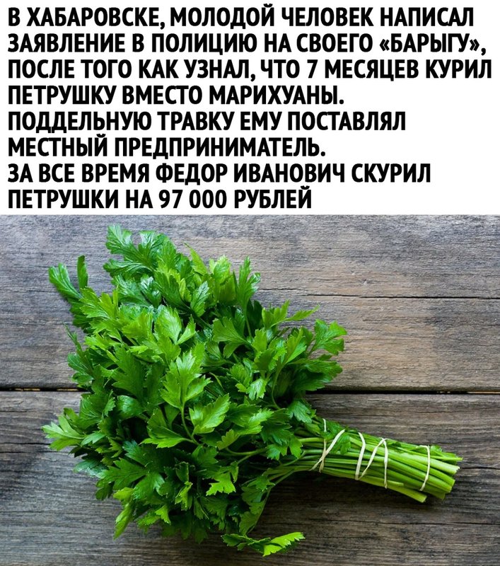 eEUJwgyl_-M.jpg