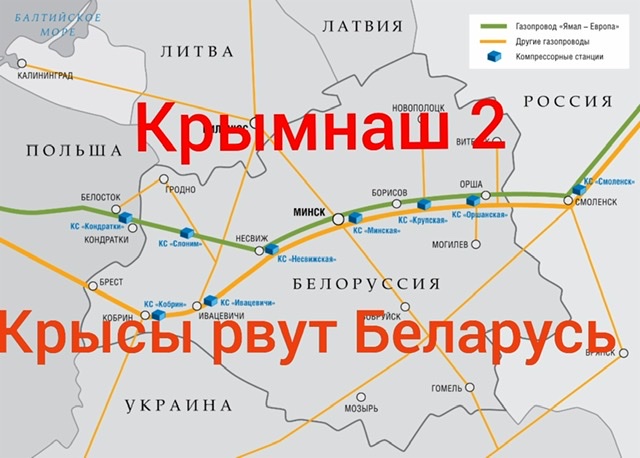 B81CF93E-01B0-43AF-968A-5456850E6E41.jpeg