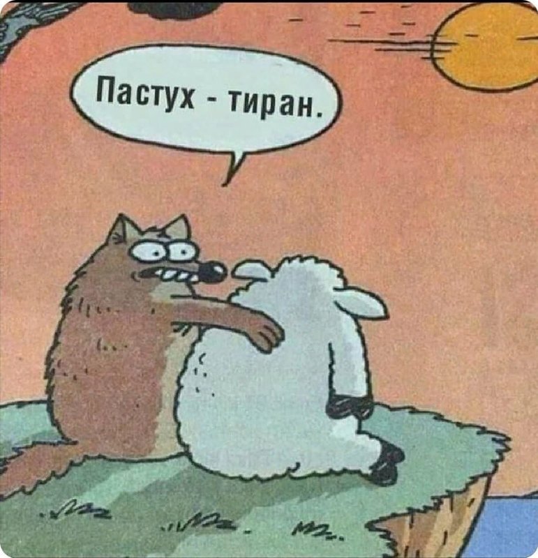 176241598_3712834545511445_5886257115610913676_n.jpeg
