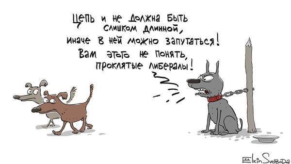 цепь.jpeg