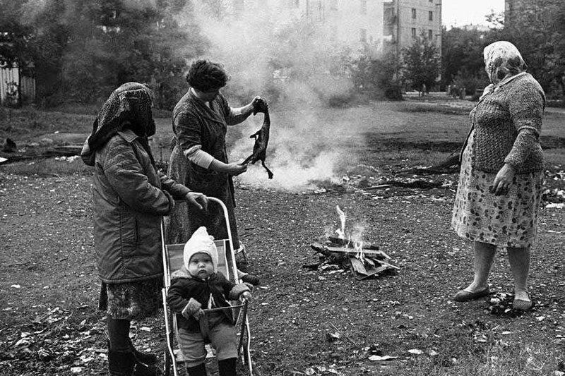 курица.jpg