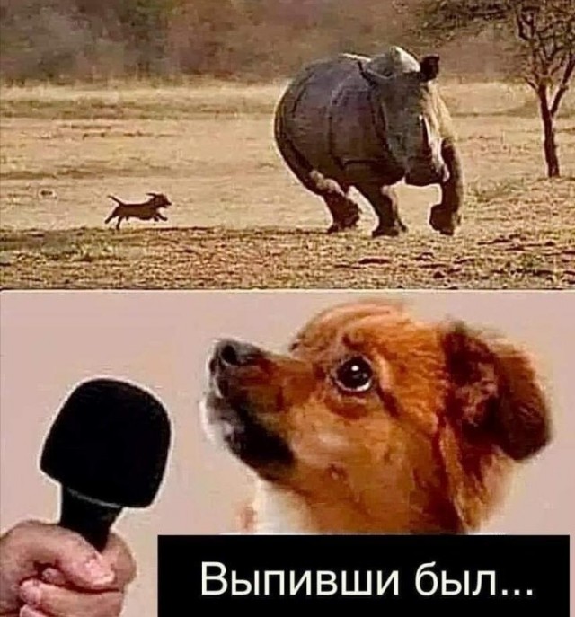 выпимши был.jpg