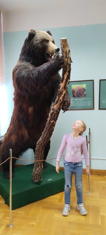 Орловский медведь.jpg