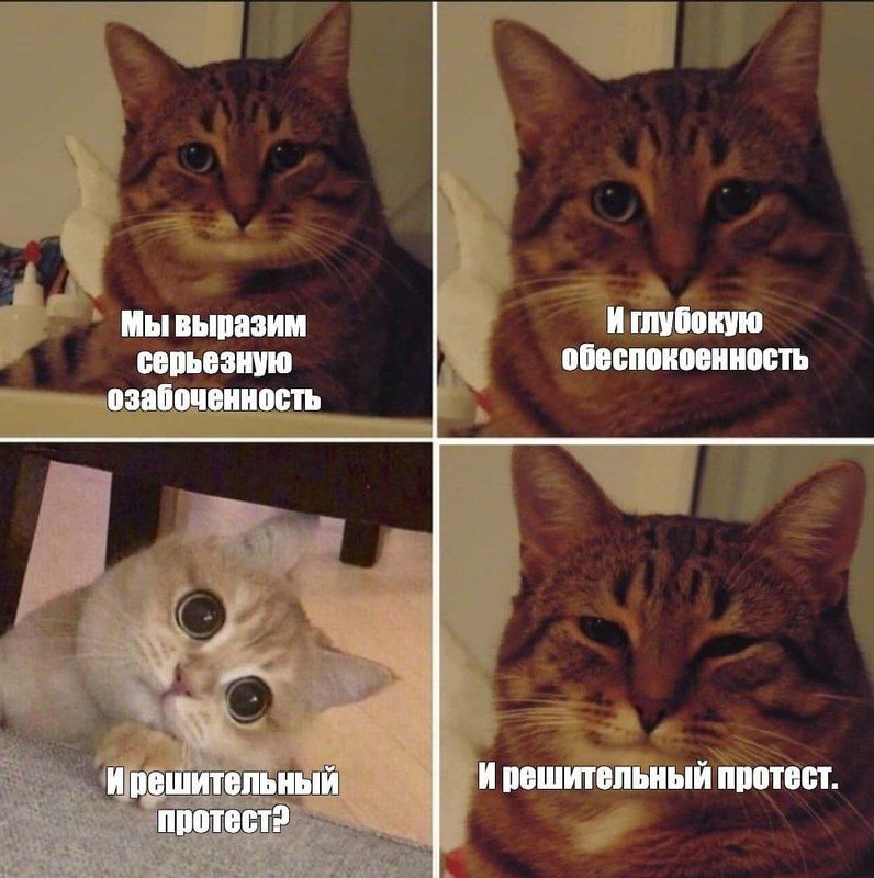 IMG_0006.jpeg