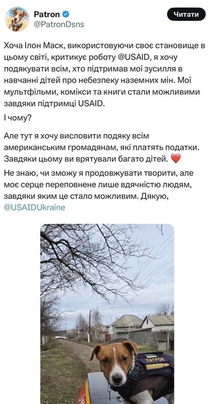пёс_патрон.jpg