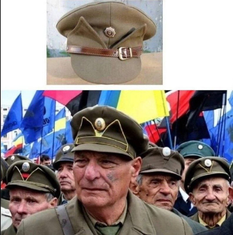 швайнехунде.jpg