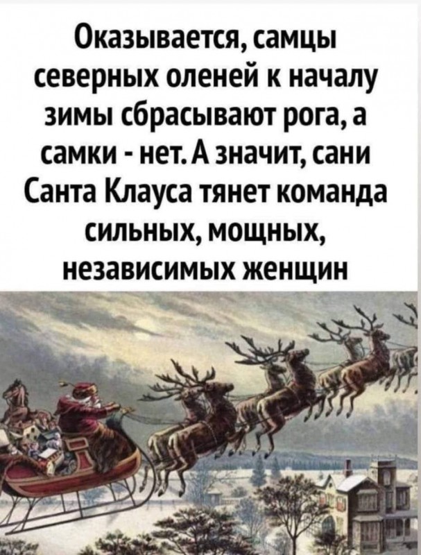рога.jpg
