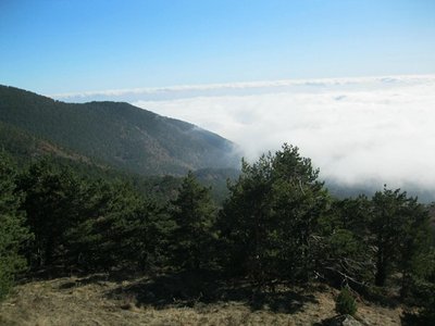 Окрестности Роман - Коша.jpeg