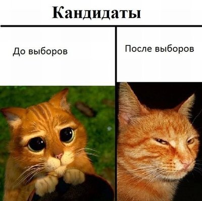 x_7be41bf9.jpg