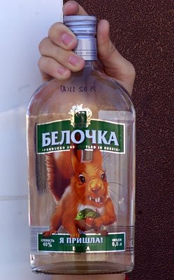 belka02.jpg
