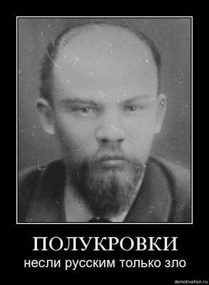 x03x7v2d32o1.jpg