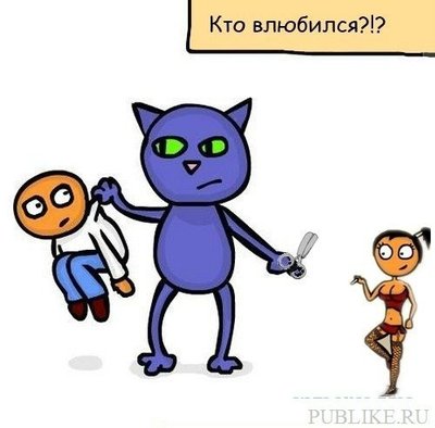 кот4 (1).jpg