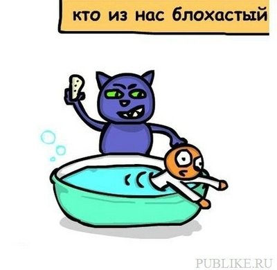кот3.jpg