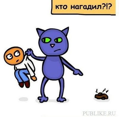 кот6.jpg