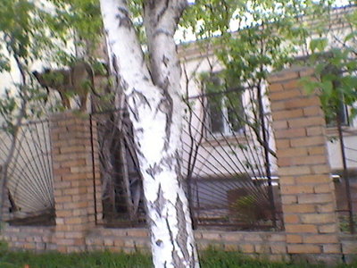 Фото0009.jpg