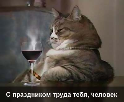 getImage11.jpg