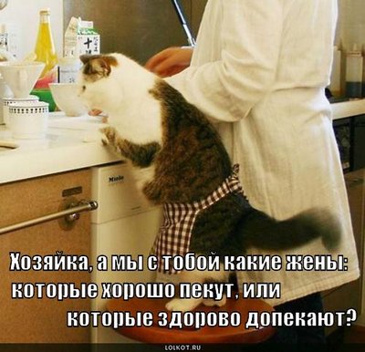 85133540_zheny_1288505065.jpg