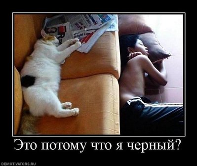 1345104025_maq0p3q8tmi.jpg