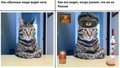 tPl4-ecPfYk.jpg