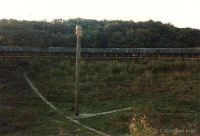 1259197823_444.jpg
