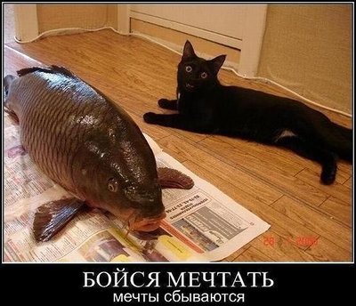 getImageCACTHJJY.jpg