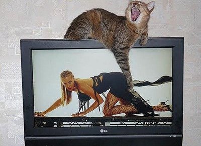 getImageCAKCQMNA.jpg
