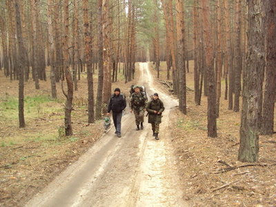 В движении.jpg