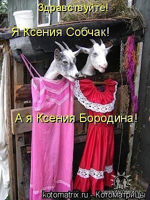Ксюши.jpg