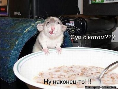 Суп с котом.jpg