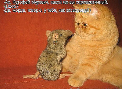 Диалог.jpg