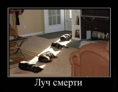 dmtmp_img_1367330790_4198.jpg