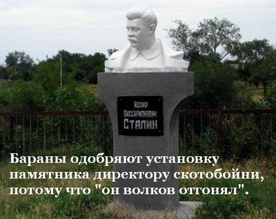 827ab7d50a0d.jpg