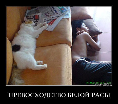 И снова о расизме.jpg
