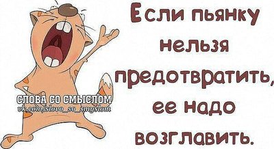кот.jpeg