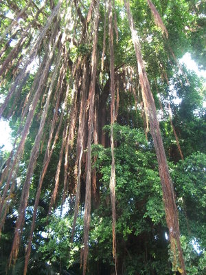 DSCF2840.JPG