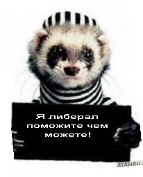 telpics_ru_81540222_185x240.jpg