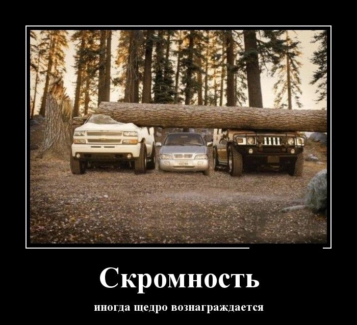 скромность.jpg