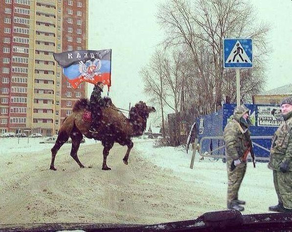 foEDyf4HIj4.jpg