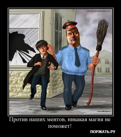 Гарри Поттер попался.jpg