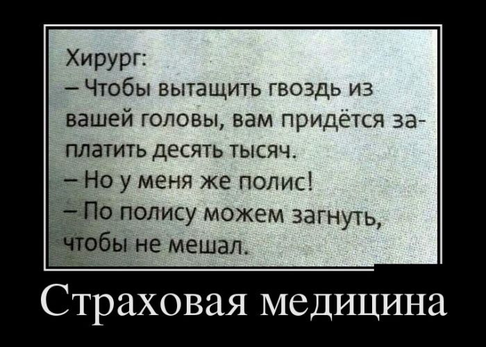 Полис.jpg