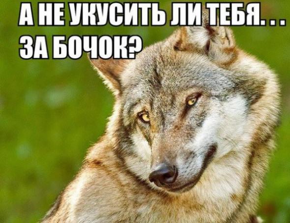 волчок.jpg