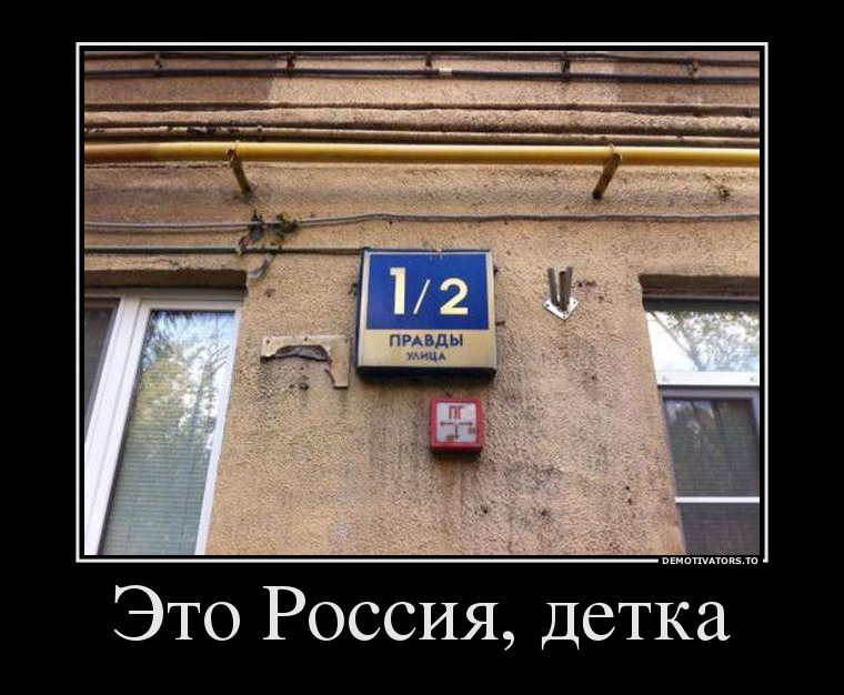 половина правды.jpg