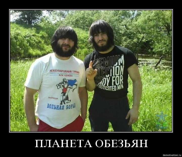 yays4gy69jgp.jpg
