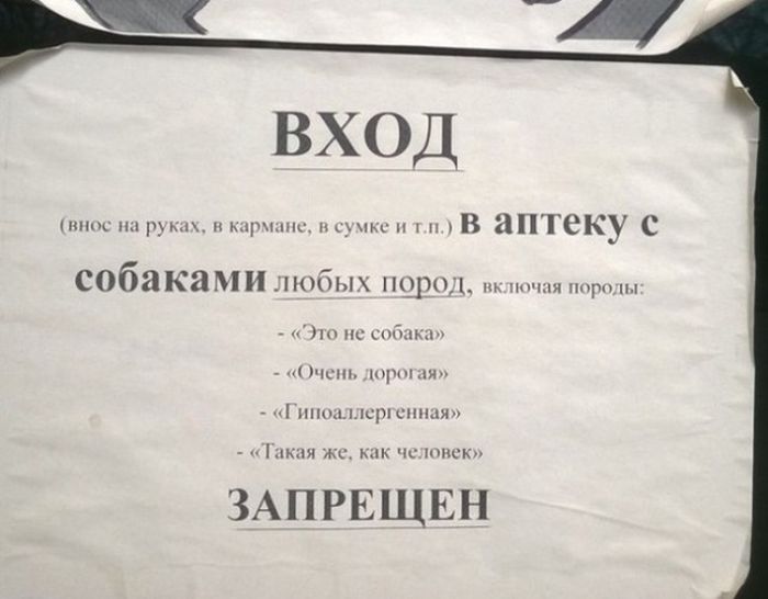 Собакам вход запрещен.jpg