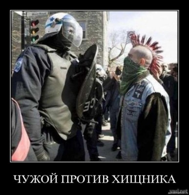 qkayo26xaix9.jpg