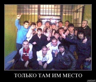 j8qtswuvix72.jpg