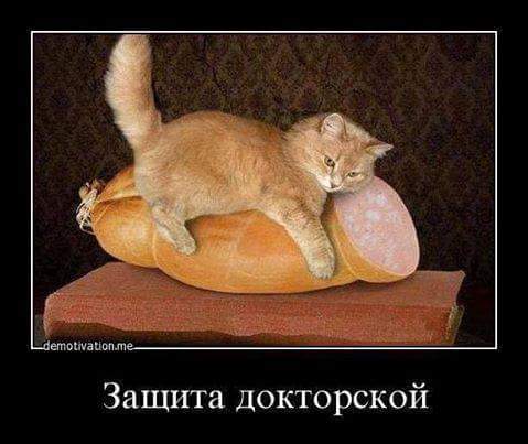 FB_IMG_1465968949895.jpg