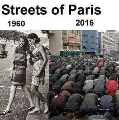 FB_IMG_1469868420914.jpg
