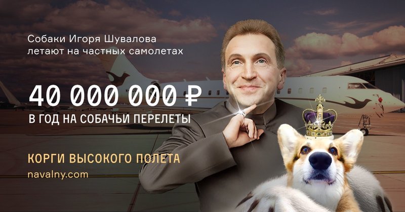 1137682_original.jpg