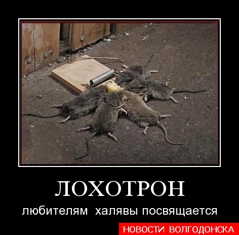 лохотрон.jpg
